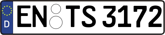EN-TS3172