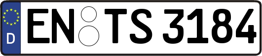 EN-TS3184