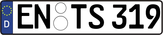 EN-TS319