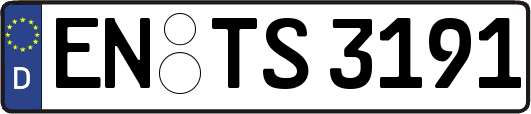 EN-TS3191