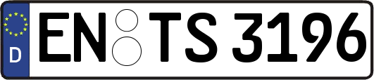 EN-TS3196