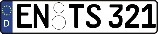 EN-TS321