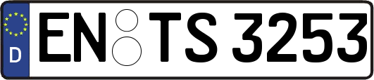 EN-TS3253