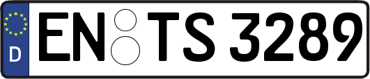 EN-TS3289