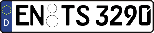 EN-TS3290