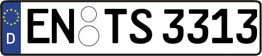EN-TS3313