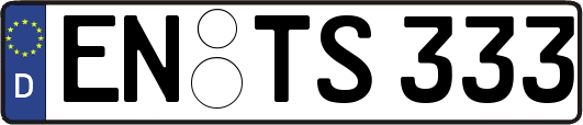 EN-TS333