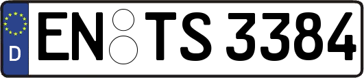 EN-TS3384