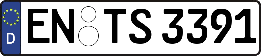 EN-TS3391