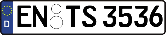 EN-TS3536