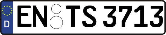 EN-TS3713