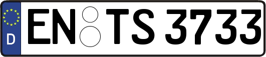 EN-TS3733