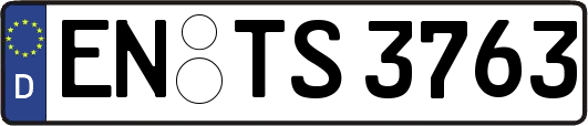 EN-TS3763