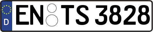 EN-TS3828