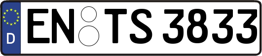 EN-TS3833
