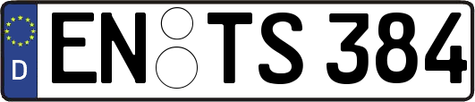 EN-TS384