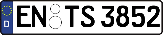 EN-TS3852