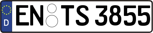 EN-TS3855
