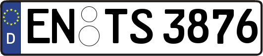 EN-TS3876