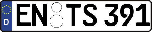 EN-TS391