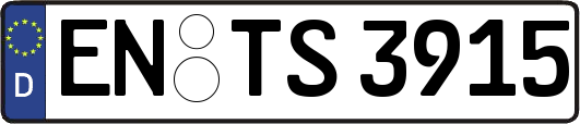 EN-TS3915
