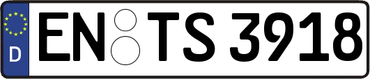 EN-TS3918