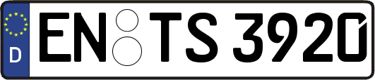 EN-TS3920