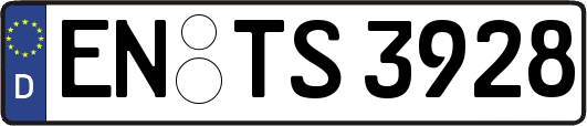 EN-TS3928
