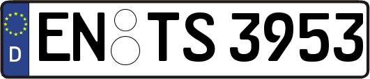 EN-TS3953