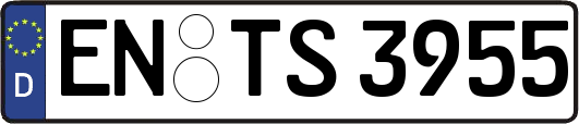 EN-TS3955