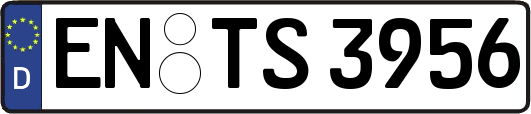 EN-TS3956