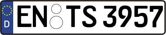 EN-TS3957