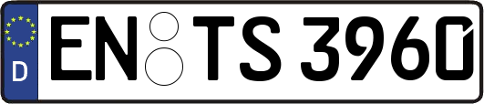 EN-TS3960