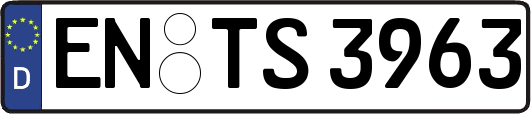 EN-TS3963
