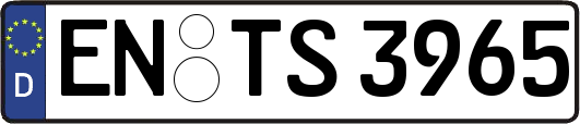 EN-TS3965