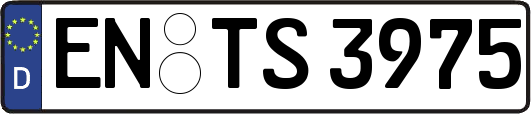 EN-TS3975