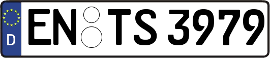 EN-TS3979