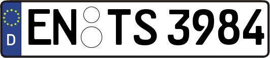 EN-TS3984