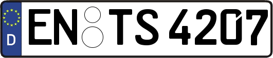 EN-TS4207