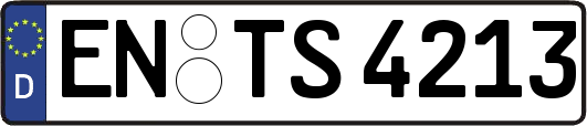 EN-TS4213