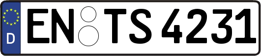 EN-TS4231