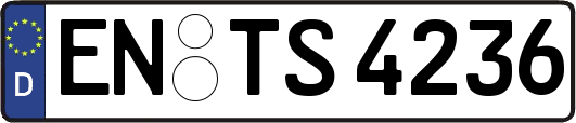 EN-TS4236