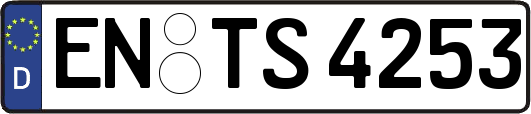EN-TS4253