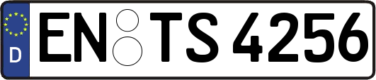 EN-TS4256
