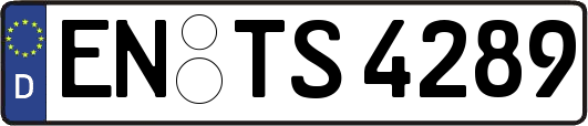 EN-TS4289
