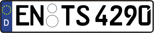 EN-TS4290