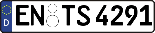 EN-TS4291