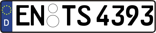 EN-TS4393
