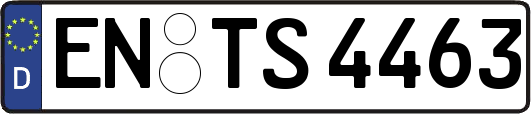 EN-TS4463