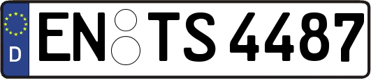 EN-TS4487